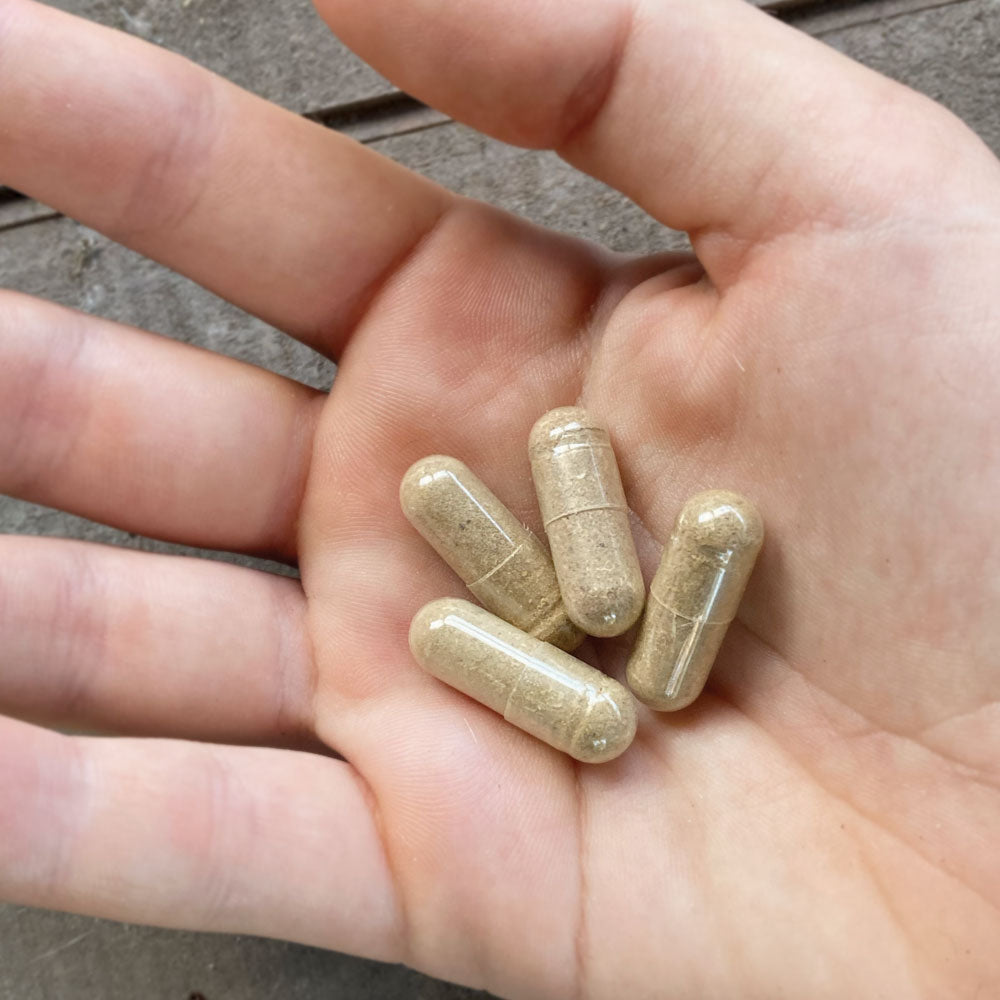 Go Gold Beef Organ Capsules