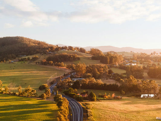Eating Like Our Ancestors: Why Organ Meats Are Nature’s Superfood